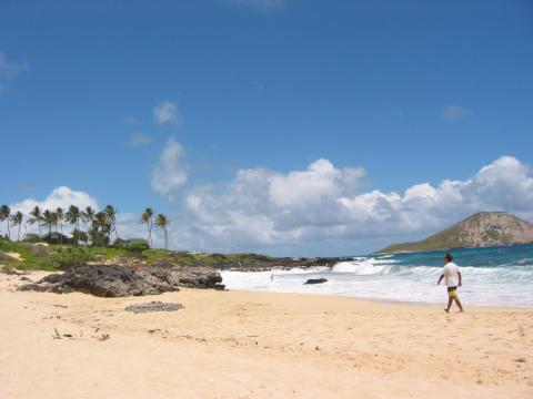 A Perfect Day Trip on the Hawaiian Island of Oahu
