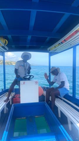 Glass Bottom Boat Tour at Round Hill Jamaica