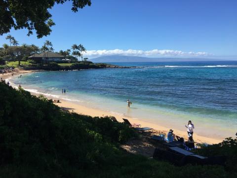 Exotic Estates Maui Beach Guide