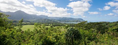 Explore Beautiful Hanalei Bay 