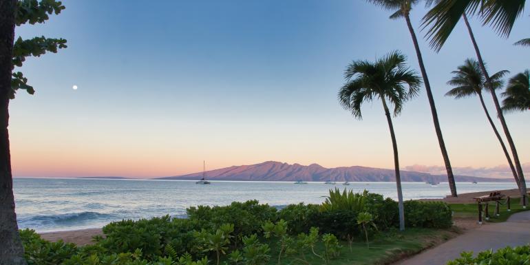 View Maui Rentals