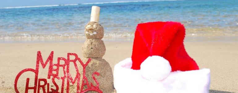 Hawaiian Holiday Season 2016