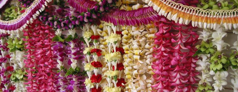All About Leis - Exploring the Art and Significance of the Hawaiian Flower Garland