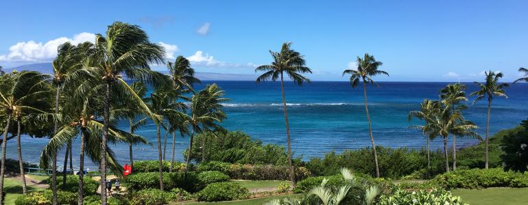 Maui's Signature Outdoor Adventures: Road to Hana, Haleakala & Molokini Guide