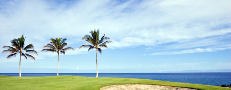 PGA Golf Tour- Hyundai Tournament of Champions 2021