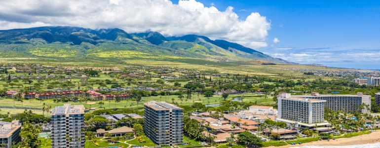 Maui's Busiest Months: When to Visit & How Far Ahead to Book Your Vacation Rental
