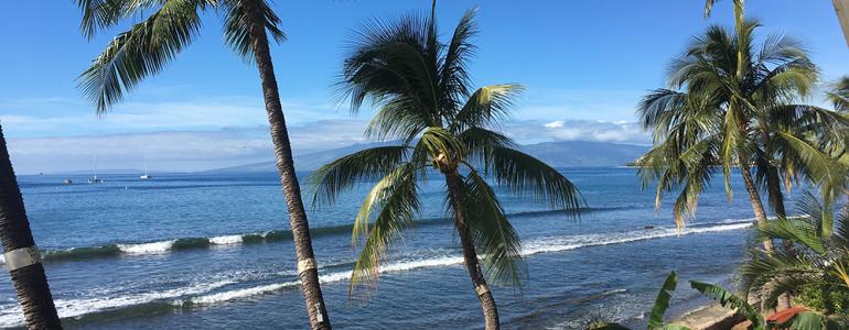 Inspected Maui Villas by Team Exotic Estates