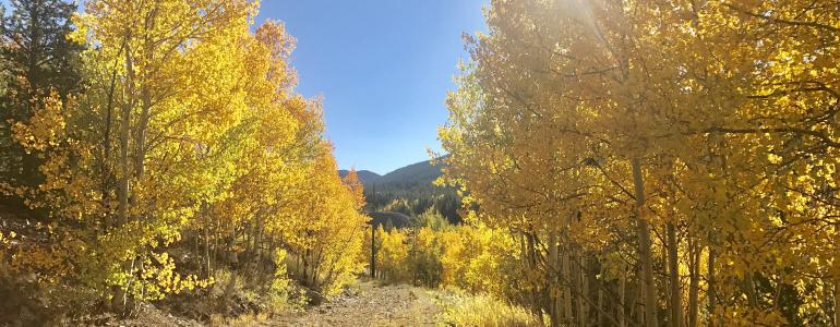 Behind the Scenes in Breckenridge, Colorado