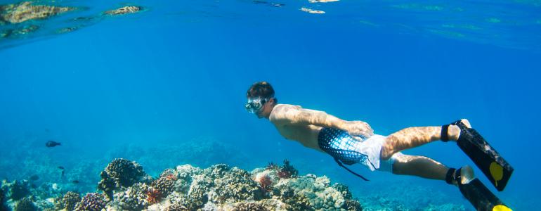 Snorkeling Etiquette in Hawaii