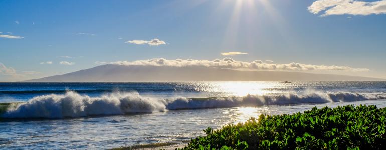 Maui's Cultural Heart: Lahaina's Loss and the Road Back | History & Recovery