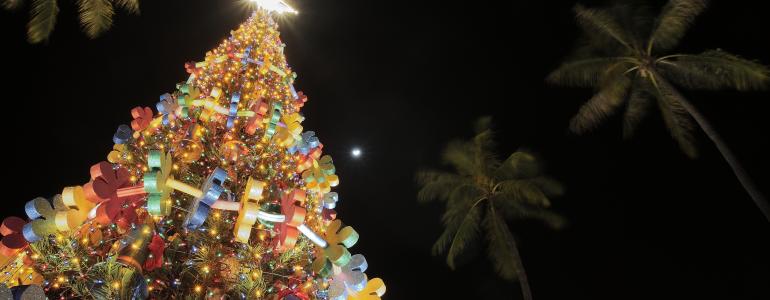 Top 10 Things To Do During the Holidays in Hawaii