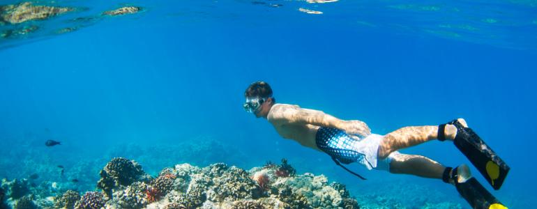 10 Best Snorkeling Spots on Maui