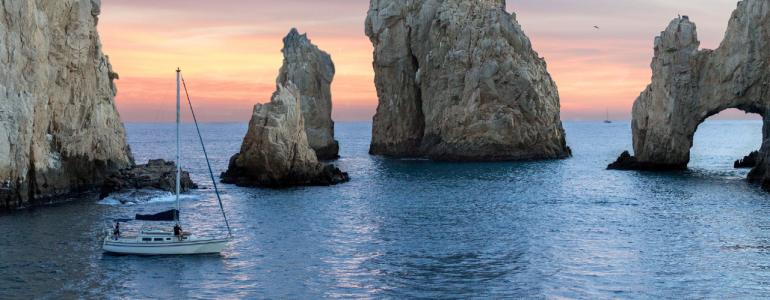 Fish to Catch in Cabo San Lucas During Sport Fishing Season