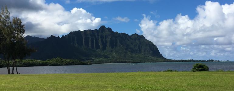 Understanding Hawaii Visitor Fees