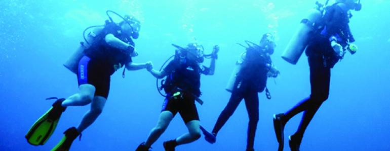 Ocean Activities