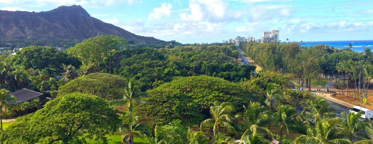 Diamond Head Neighborhood